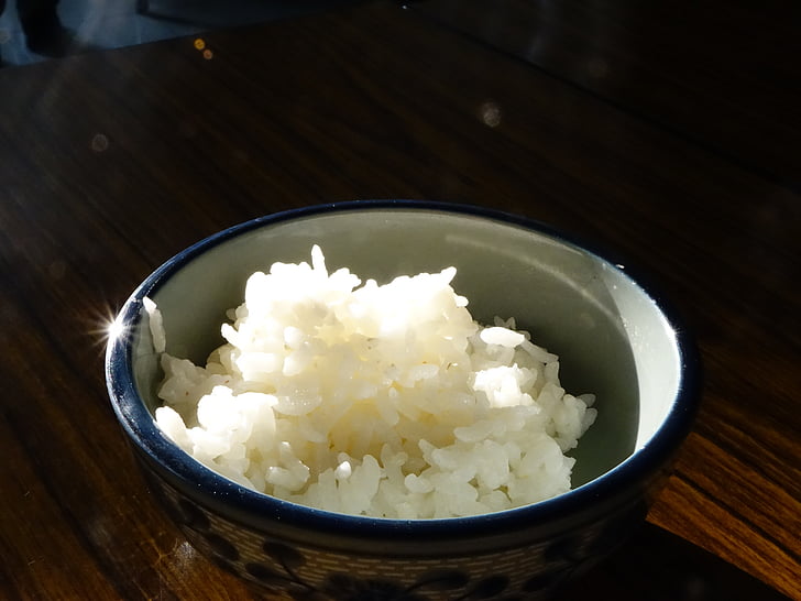 吃米和吃面哪个更容易胖